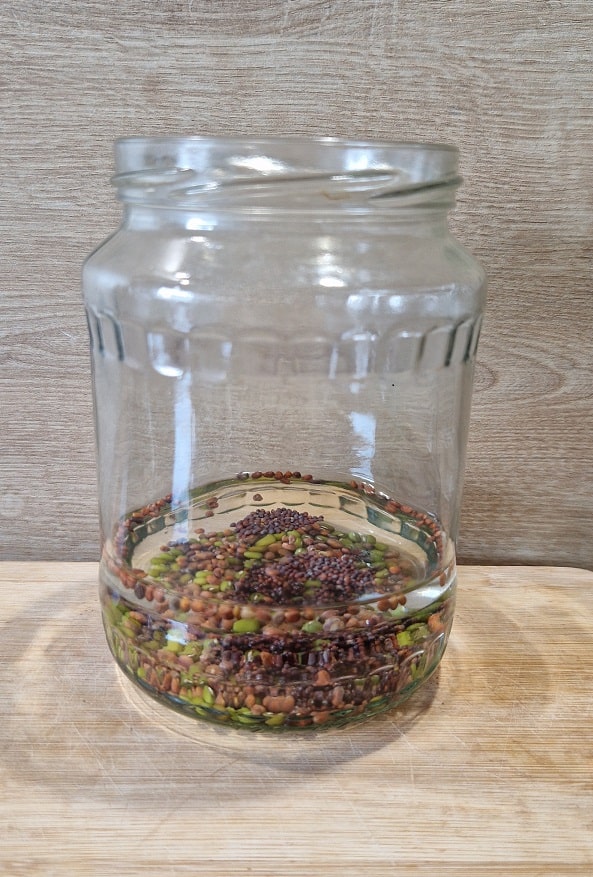 Keimglas mit Wasser zum Samen einweichen