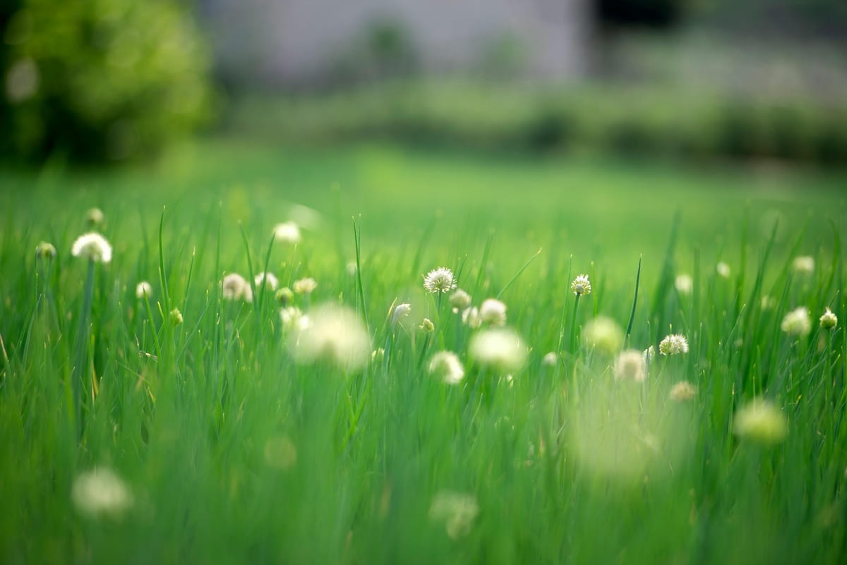 Frühlingsfit: Welche Lebensmittel jetzt Saison haben